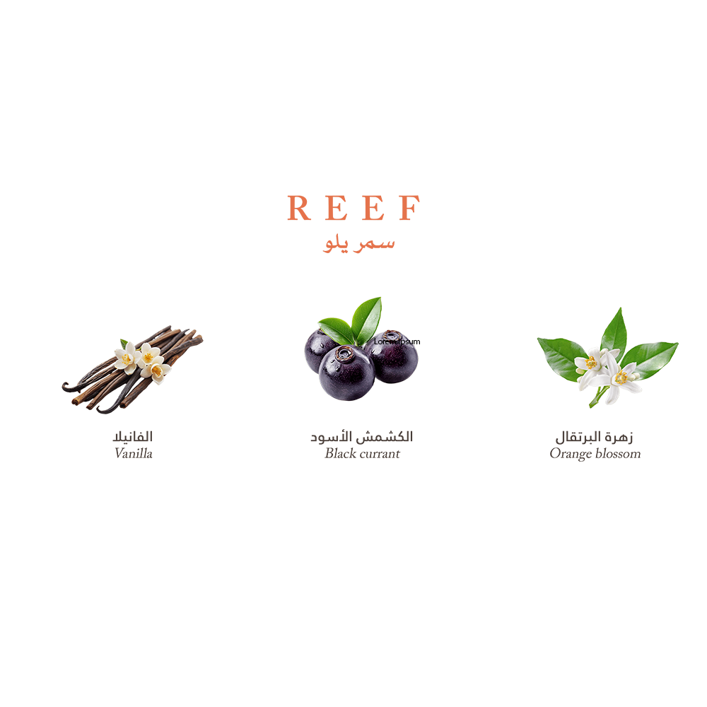 SUMMER YELLOW – REEF PERFUMES EDP 100 ML