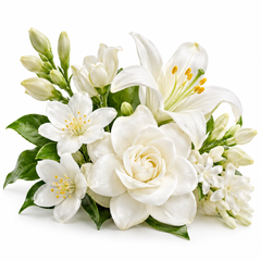 White Blossoms