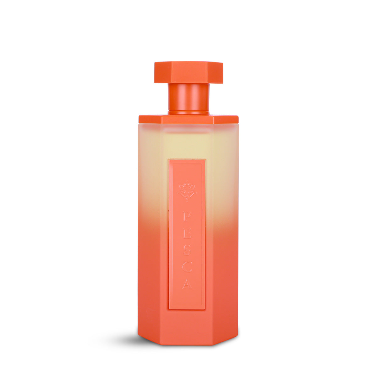 Reef Pesca Eau de Parfum 200ml coral bottle with ombré box front view