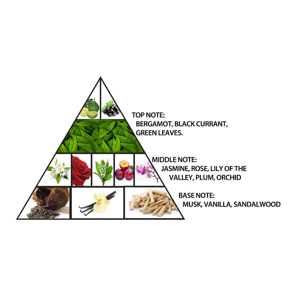 LAVENTURE GOLD 100ML