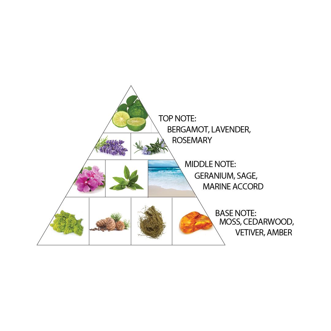 AMBER OUD CARBON EDITION 100ML EDP